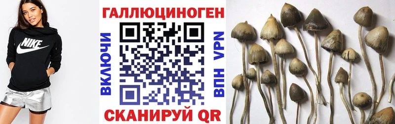 Псилоцибиновые грибы мухоморы  купить   Дрезна 